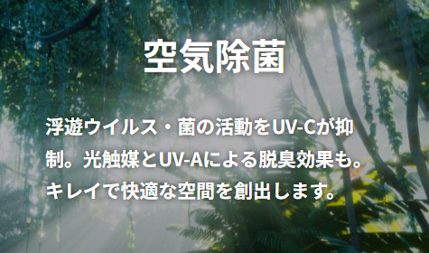 CہFVECXEۂ̊UV-C}BG}UV-AɂELʂBLCŉKȋԂno܂B