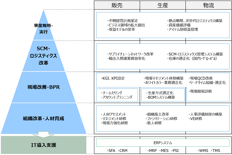業務イノベーション・コンサルティングの対象領域